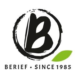 Logo_Berief