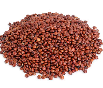 Bio quinoa červená 25 kg