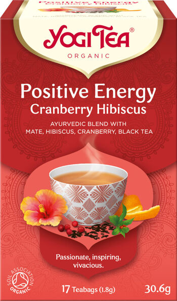 Bio Positivní energie Yogi Tea 17 x 1,8 g