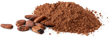Bio kakaový prášek 25 kg