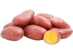 cervene brambory